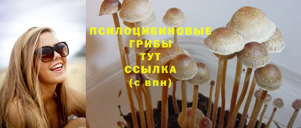мдма Богданович