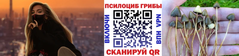 Галлюциногенные грибы MAGIC MUSHROOMS МЕГА tor Рязань